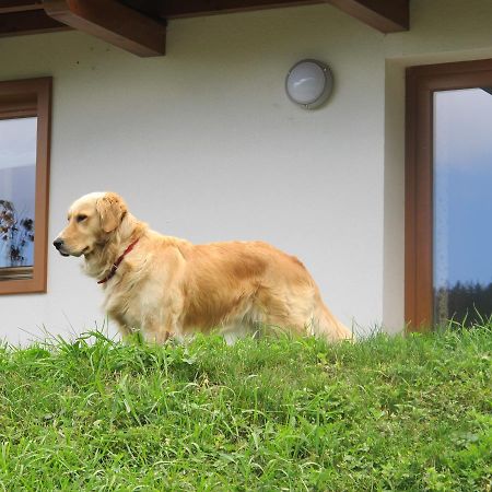 Ferienwohnung Il Cardo Trentino Bedollo Exterior foto