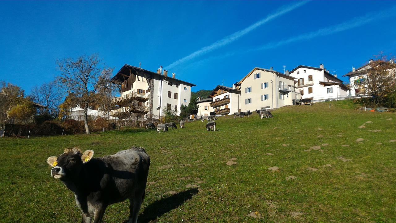 Ferienwohnung Il Cardo Trentino Bedollo Exterior foto