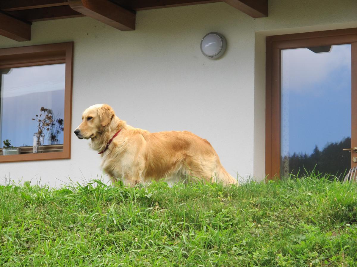 Ferienwohnung Il Cardo Trentino Bedollo Exterior foto