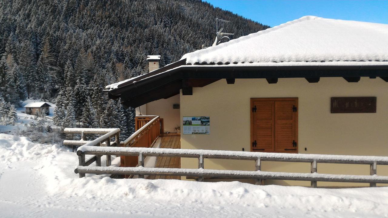 Ferienwohnung Il Cardo Trentino Bedollo Exterior foto