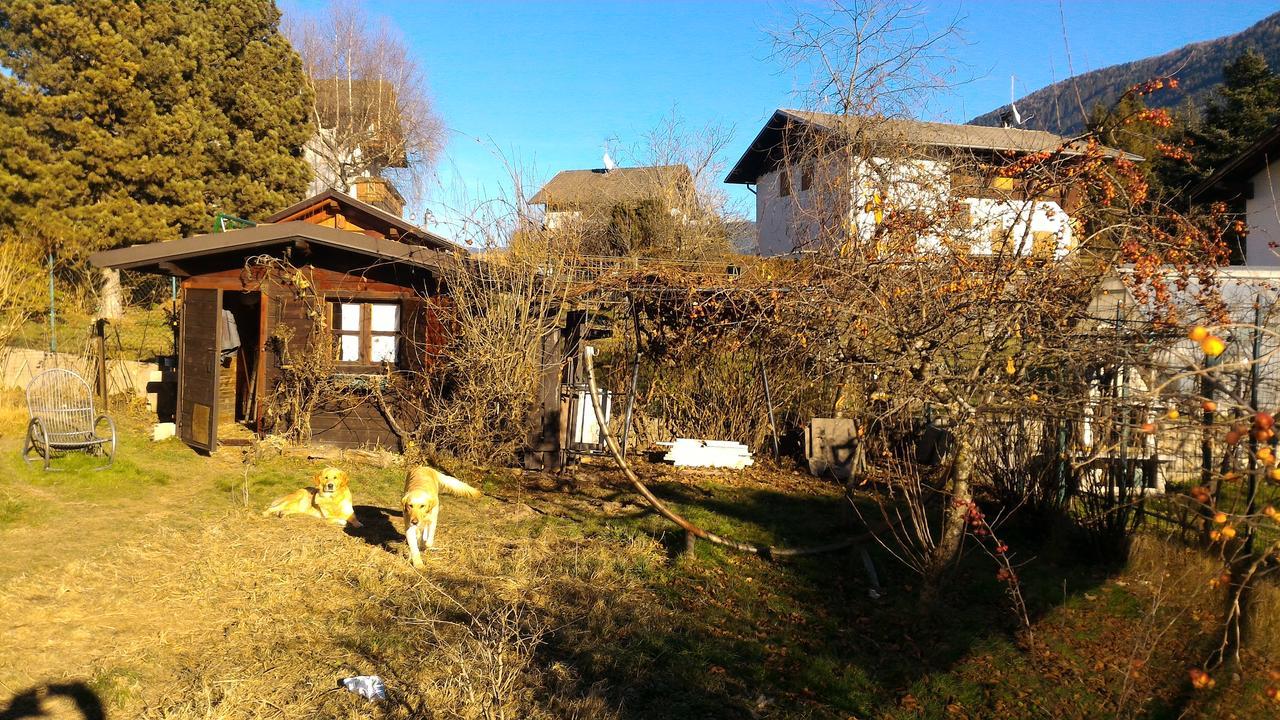 Ferienwohnung Il Cardo Trentino Bedollo Exterior foto