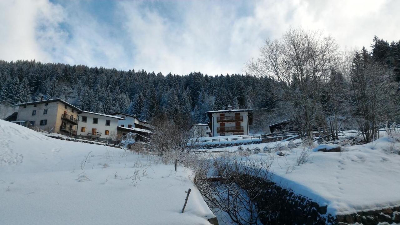 Ferienwohnung Il Cardo Trentino Bedollo Exterior foto